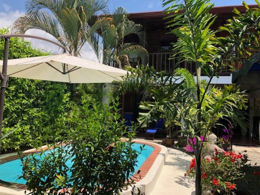 Casa Toucan Mit Privat Pool Near Np Ballena อูวีตา ภายนอก รูปภาพ
