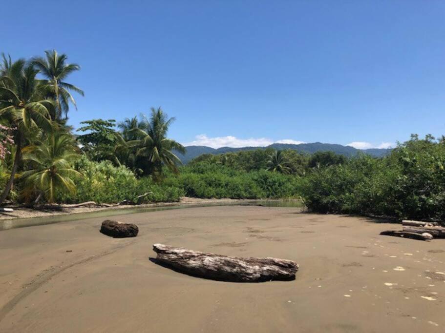 Casa Toucan Mit Privat Pool Near Np Ballena อูวีตา ภายนอก รูปภาพ