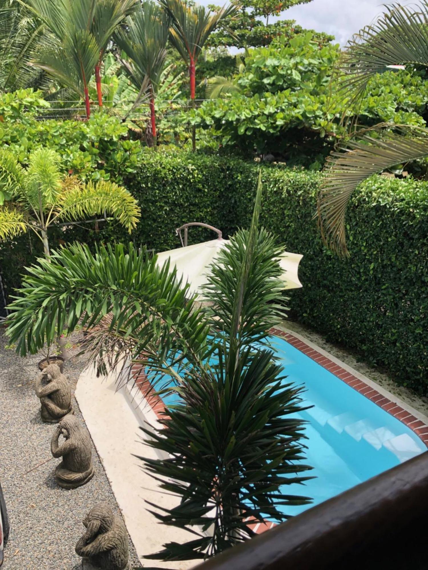 Casa Toucan Mit Privat Pool Near Np Ballena อูวีตา ภายนอก รูปภาพ