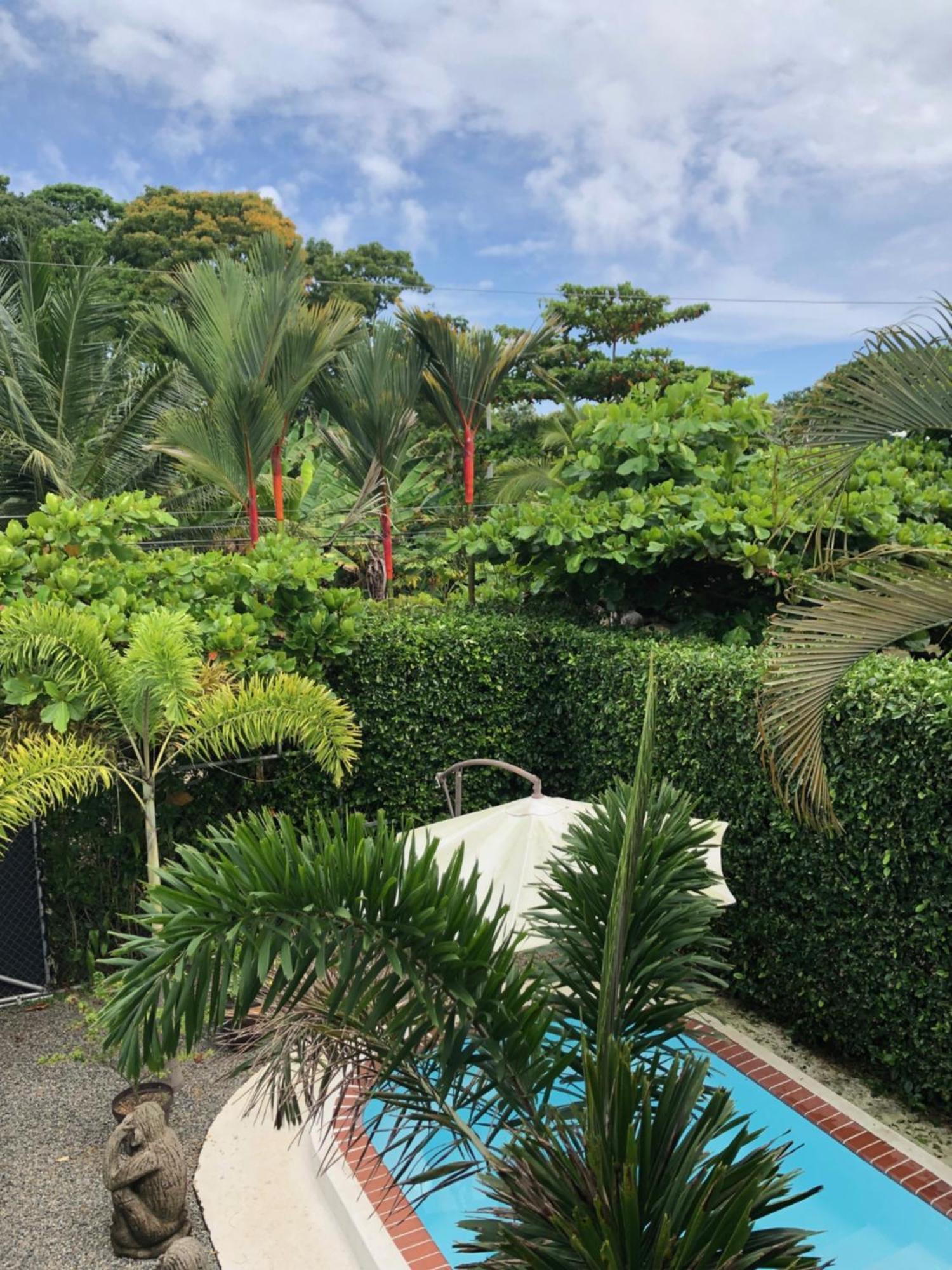 Casa Toucan Mit Privat Pool Near Np Ballena อูวีตา ภายนอก รูปภาพ