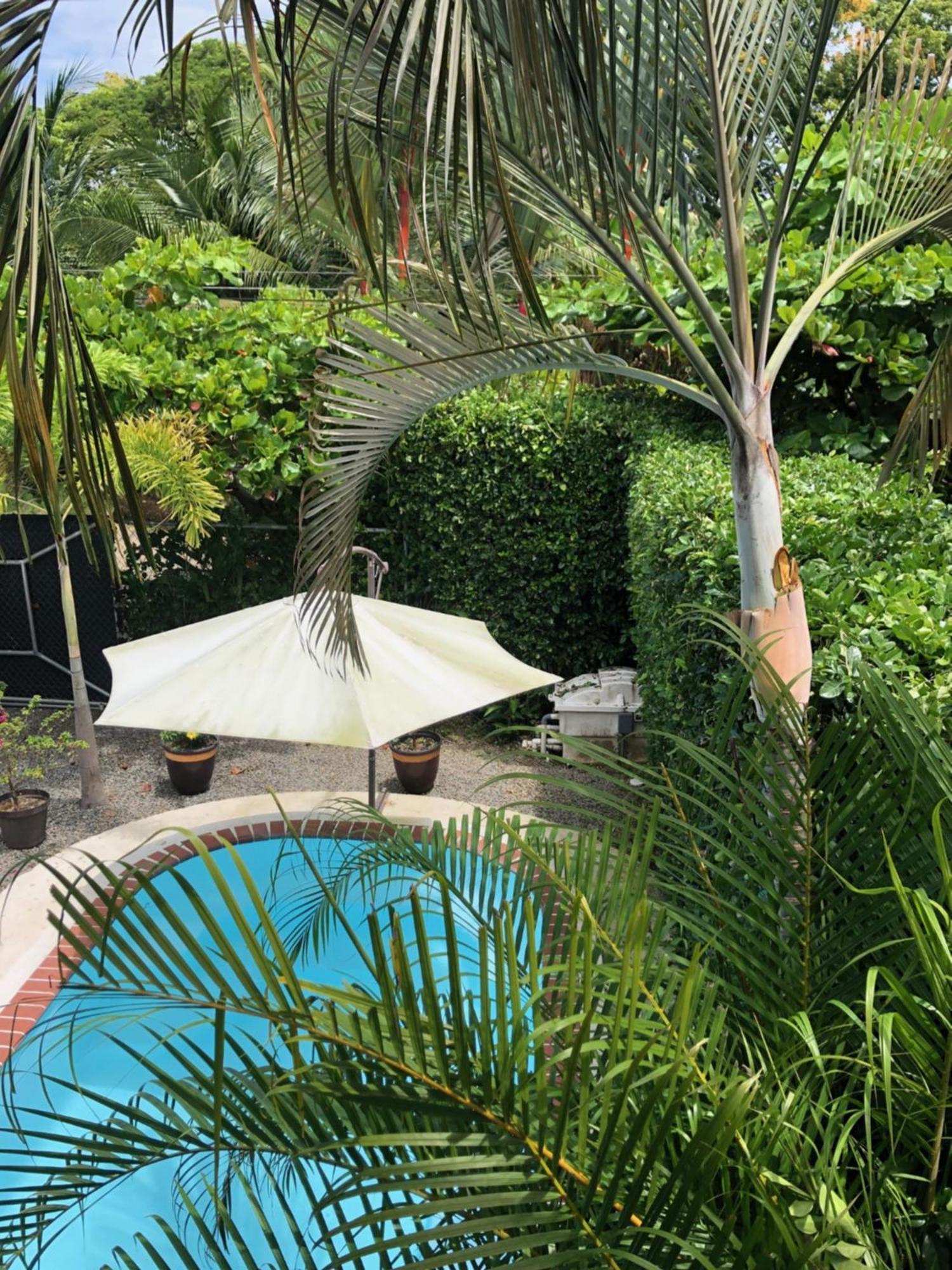 Casa Toucan Mit Privat Pool Near Np Ballena อูวีตา ภายนอก รูปภาพ